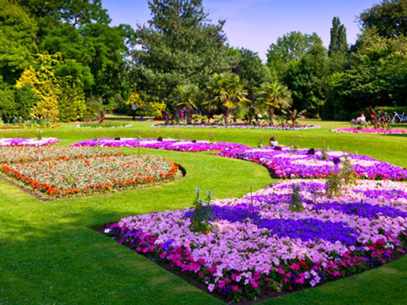 Hakgala Botanical Gardens