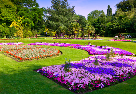 Hakgala Botanical Gardens