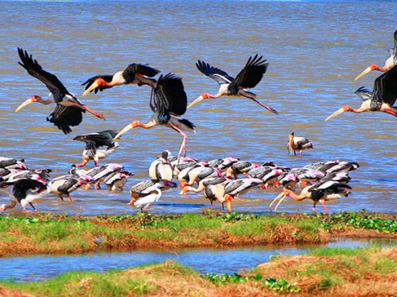 Kumana National Park