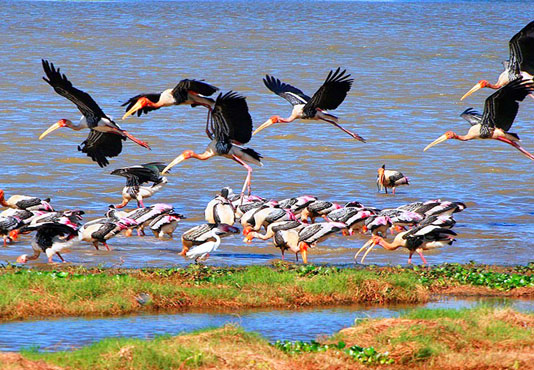 Kumana National Park