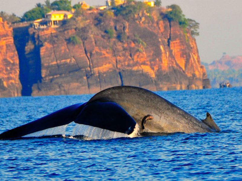 Trincomalee